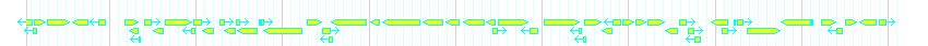 Genes detail