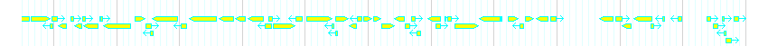 Genes detail