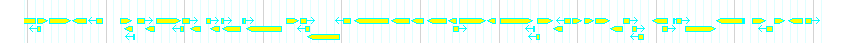 Genes detail