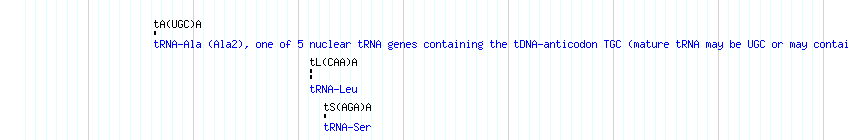 tRNAs detail