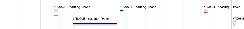 CDS detail