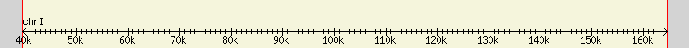 __scale__ region