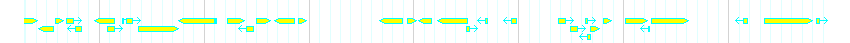 Genes detail
