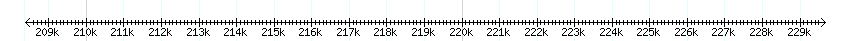 __scale__ detail