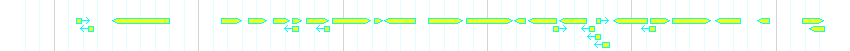Genes detail