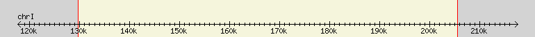 __scale__ region