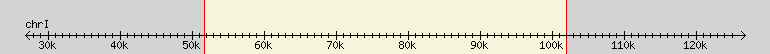 __scale__ region