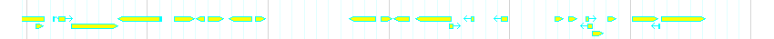 Genes detail