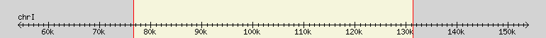 __scale__ region