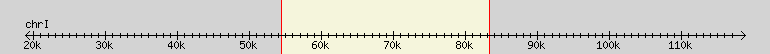 __scale__ region