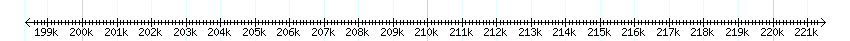 __scale__ detail