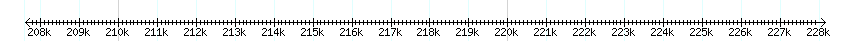 __scale__ detail