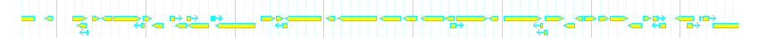 Genes detail