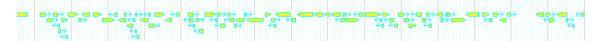 Genes detail