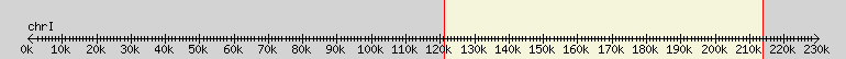 __scale__ overview