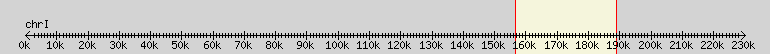 __scale__ overview