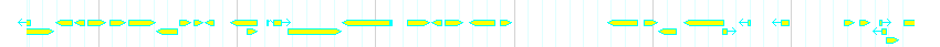 Genes detail