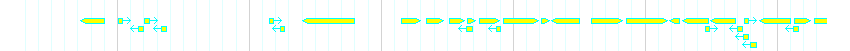 Genes detail