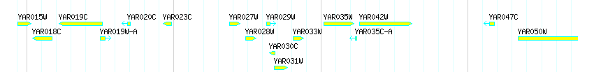 Genes detail