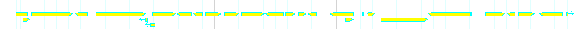 Genes detail