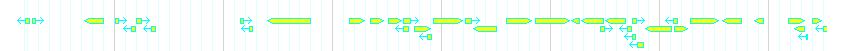 Genes detail