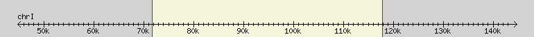 __scale__ region