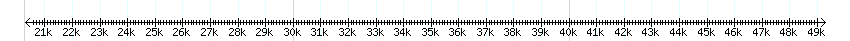 __scale__ detail