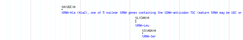 tRNAs detail