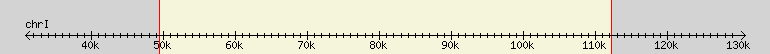 __scale__ region