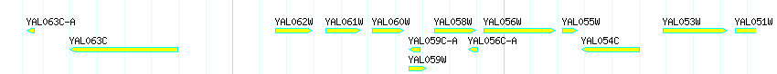 Genes detail