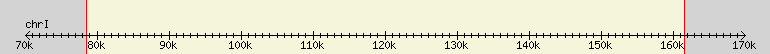 __scale__ region