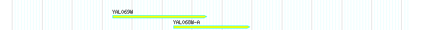 Genes detail