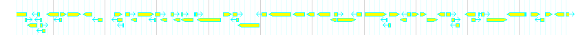 Genes detail