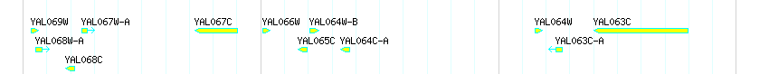 Genes detail