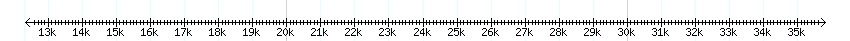 __scale__ detail