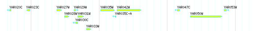Genes detail