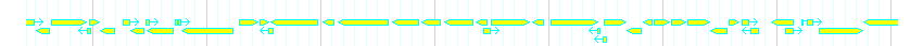 Genes detail