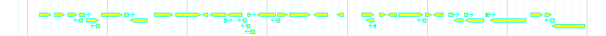 Genes detail