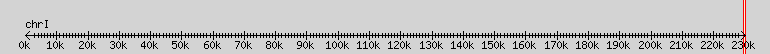 __scale__ overview