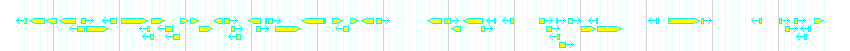 Genes detail