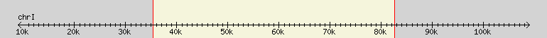 __scale__ region