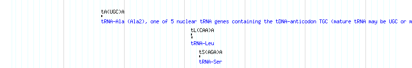 tRNAs detail