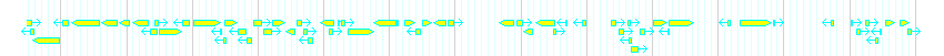 Genes detail
