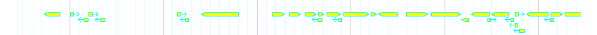 Genes detail