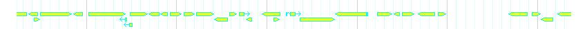 Genes detail
