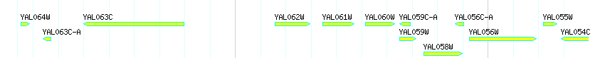Genes detail