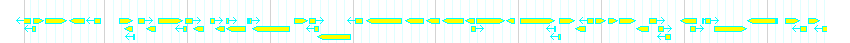 Genes detail