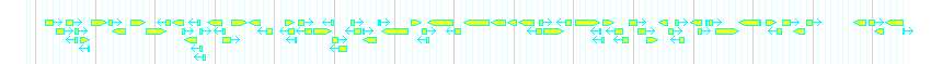 Genes detail