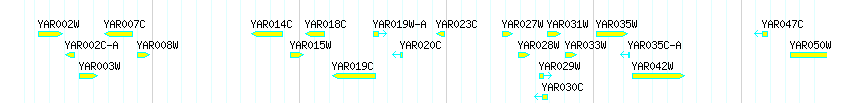 Genes detail