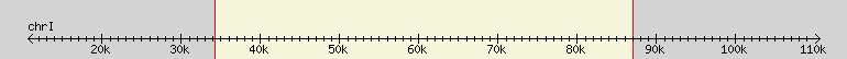 __scale__ region